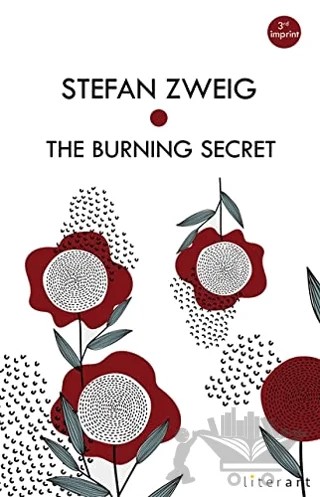 The Burning Secret – Stefan Zweıg – Literart Yayınları kitap kapağı