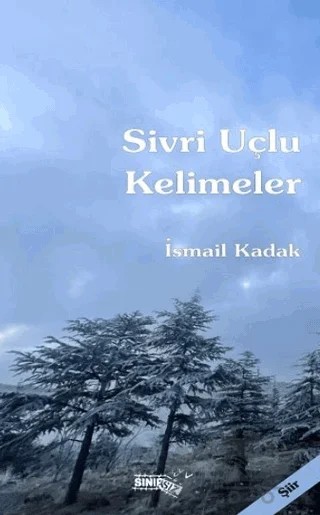 Sivri Uçlu Kelimeler – İsmail Kadak – Sınırsız Kitap kitap kapağı