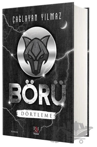 Börü Dörtleme – Çağlayan Yılmaz – Panama Yayıncılık kitap kapağı