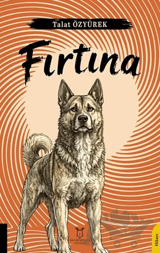 Fırtına – Talat Özyürek – Akademisyen Kitabevi kitap kapağı