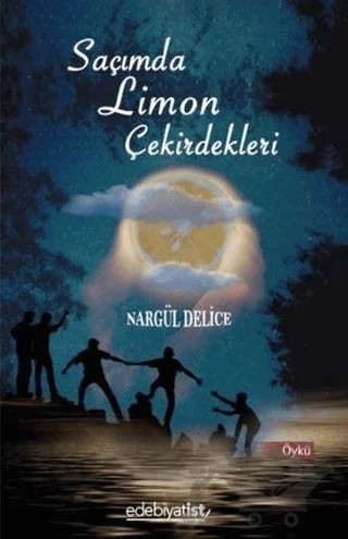Saçımda Limon Çekirdekleri – Nargül Delice – Edebiyatist kitap kapağı