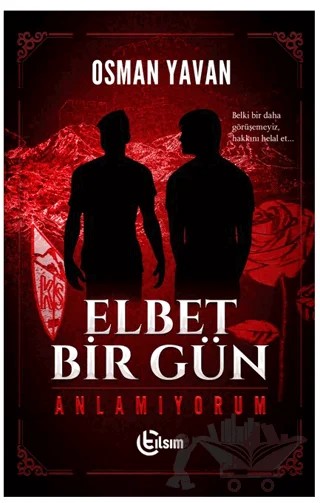 Elbet Bir Gün - Anlamıyorum – Osman Yavan – Tılsım Yayınevi kitap kapağı