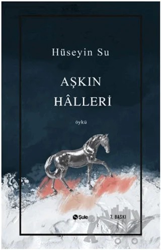 Aşkın Halleri – Hüseyin Su – Şule Yayınları kitap kapağı
