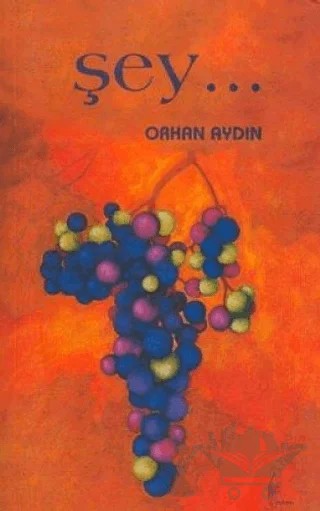 Şey.. – Orhan Aydın – Galata Yayıncılık kitap kapağı