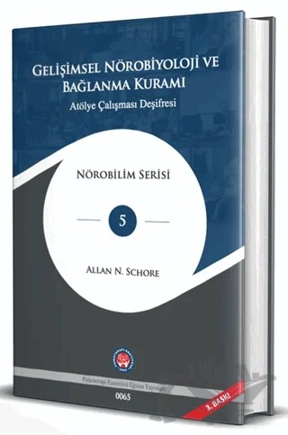 Gelişimsel Nörobiyoloji ve Bağlanma Kuramı – Allan N. Schore – Psikoterapi Enstitüsü kitap kapağı