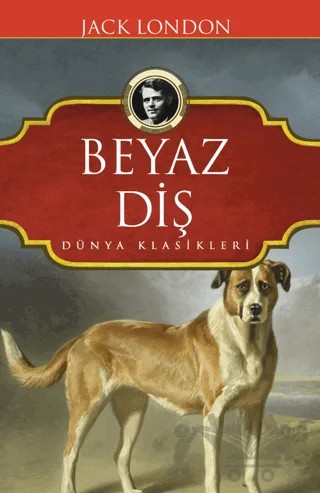 Beyaz Diş – Jack London – Koloni kitap kapağı