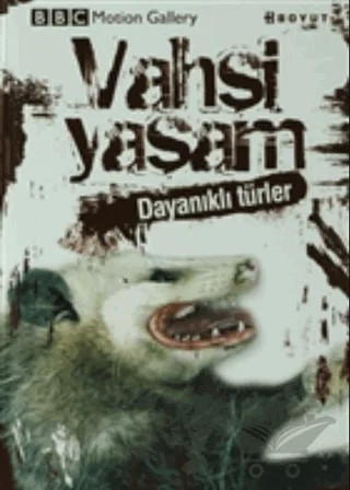 Vahşi Yaşam-Dayanıklı Türler – Amy-Jane Beer, Pat Morris – Boyut Yayın Grubu kitap kapağı