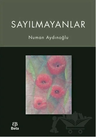 Sayılmayanlar – Numan Aydınoğlu – Beta Yayınevi kitap kapağı