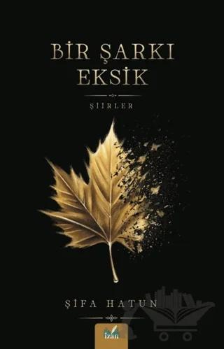 Bir Şarkı Eksik