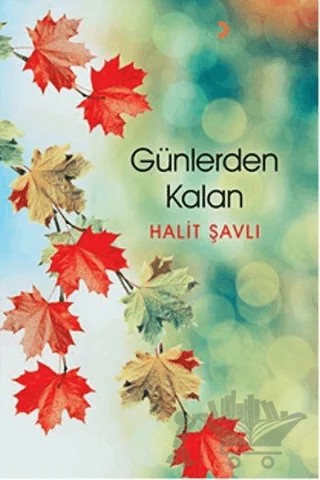 Günlerden Kalan – Halit Şavlı – Cinius Yayınları kitap kapağı