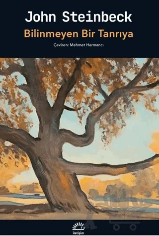 Bilinmeyen Bir Tanrıya – John Steinbeck – İletişim Yayınevi kitap kapağı