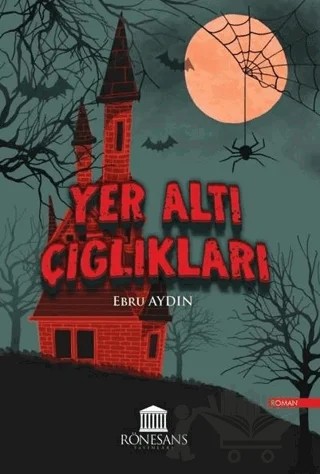 Yer Altı Çığlıkları – Ebru Aydın – Rönesans Yayınları kitap kapağı