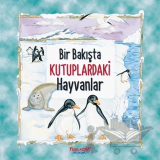 Bir Bakışta Kutuplardaki Hayvanlar – Kolektif – Yumurcak Yayınları kitap kapağı