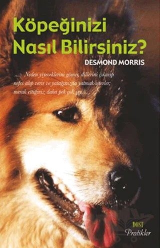 Köpeğinizi Nasıl Bilirsiniz? – Desmond Morris – Dost Kitabevi Yayınları kitap kapağı