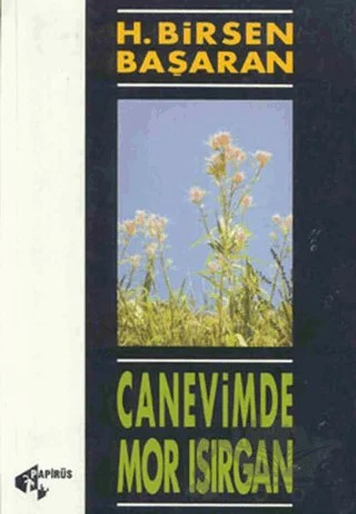Canevimde Mor Isırgan – Hatun Birsen Başaran – Papirüs Yayınevi kitap kapağı