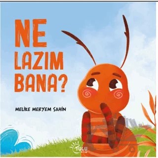 Ne Lazım Bana – Melike Meryem Şahin – Tulu Kitap kitap kapağı
