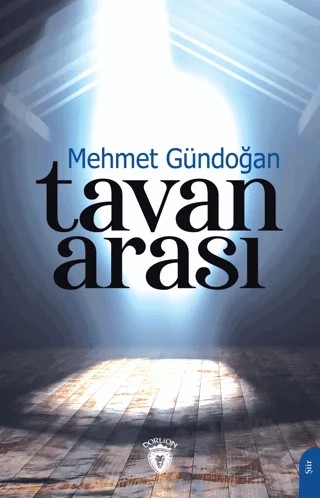 Tavan Arası – Mehmet Gündoğan – Dorlion Yayınları kitap kapağı