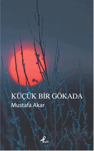 Küçük Bir Gökada – Mustafa Akar – Profil Kitap kitap kapağı