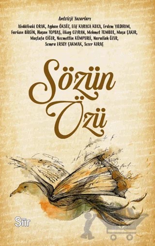 Sözün Özü – Kolektif – Tılsım Yayınevi kitap kapağı