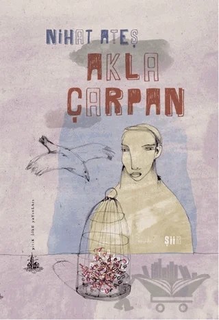 Akla Çarpan – Nihat Ateş – Yitik Ülke Yayınları kitap kapağı