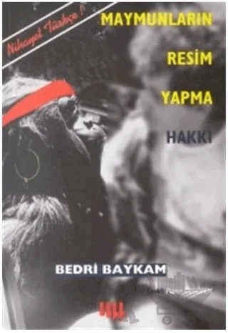 Maymunların Resim Yapma Hakkı ve Duchamp-Sonrası Krizi – Bedri Baykam – Literatür Yayıncılık kitap kapağı