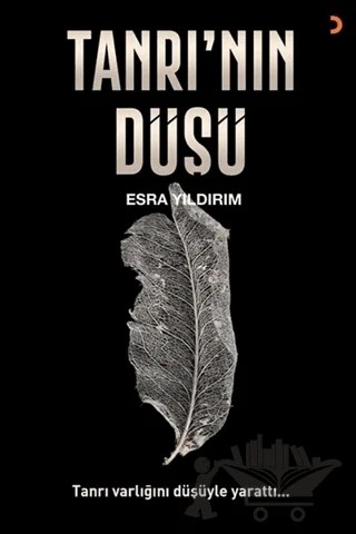Tanrı’nın Düşü – Esra Yıldırım – Cinius Yayınları kitap kapağı