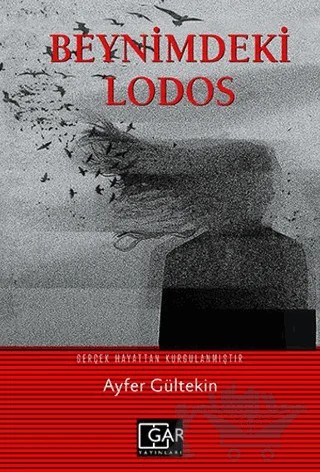 Beynimdeki Lodos – Ayfer Gültekin – Gar Yayınları kitap kapağı