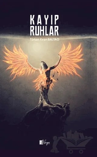 Kayıp Ruhlar – Türkan Kıran Baltacı – Neyno Kültür Yayınevi kitap kapağı