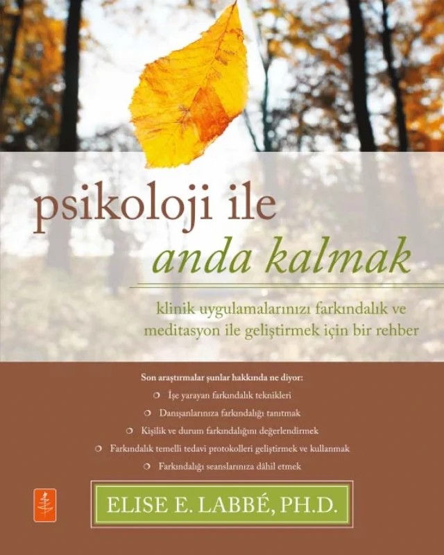PSİKOLOJİ İLE ANDA KALMAK - Klinik Uygulamalarınızı Farkındalık ve Meditasyon ile Geliştirmek için Bir Rehber / Psychology Moment by Moment - A Guide to Enhancing Your Clinical Practice with Mindfulness – Elise E. Labbé – Nobel Yaşam kitap kapağı