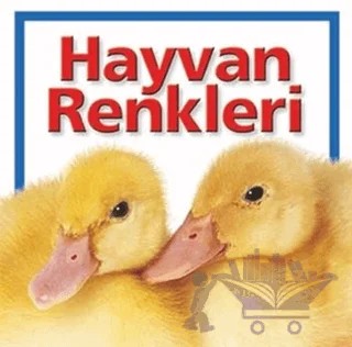 Hayvan Renkleri – Kolektif – Beta Kids kitap kapağı