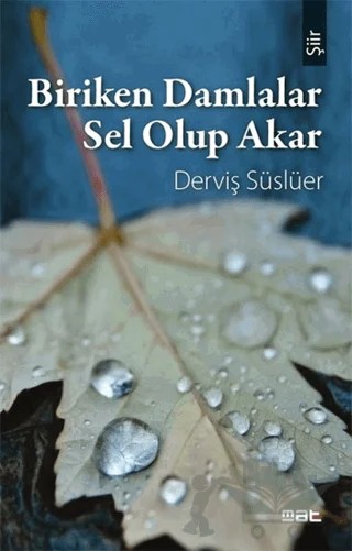 Biriken Damlalar Sel Olup Akar – Derviş Süslüer – Mat Kitap kitap kapağı