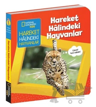Hareket Halindeki Hayvanlar - İlk Kitaplarım Serisi – Ruth A. Musgrave – Beta Kids kitap kapağı