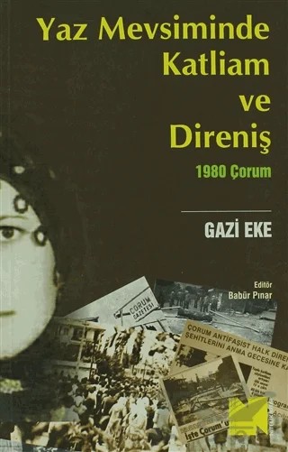 Yaz Mevsiminde Katliam ve Direniş – Gazi Eke – Nitelik Kitap kitap kapağı
