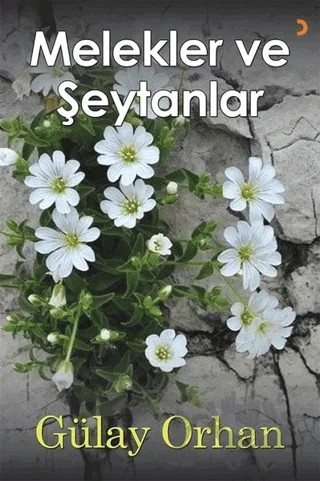 Melekler ve Şeytanlar – Gülay Orhan – Cinius Yayınları kitap kapağı