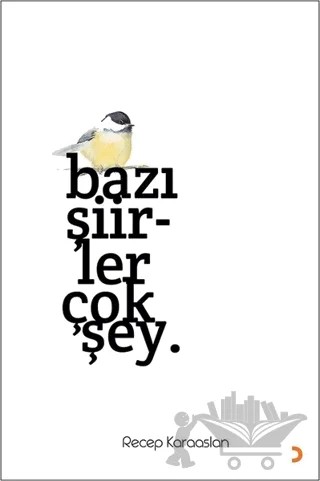 Bazı Şiirler Çok Şey. – Recep Karaaslan – Cinius Yayınları kitap kapağı