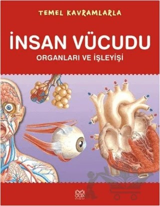 Temel Kavramlarla - İnsan Vücudu Organları ve İşleyişi – Kolektif – 1001 Çiçek Kitaplar kitap kapağı