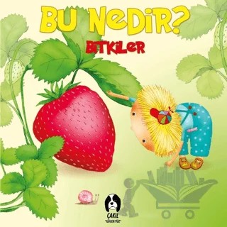 Bitkiler - Bu Nedir? – Elif Tahmiscioğlu – Çakıl Yayınları kitap kapağı