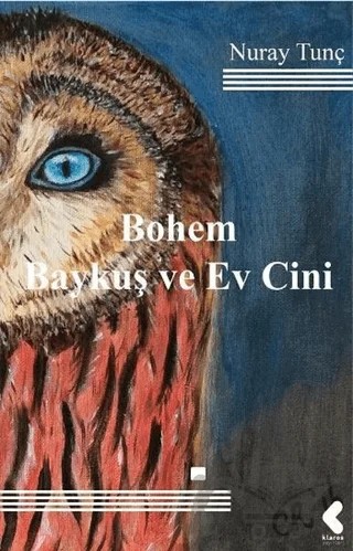 Bohem Baykuş ve Ev Cini – Nuray Tunç – Klaros Yayınları kitap kapağı