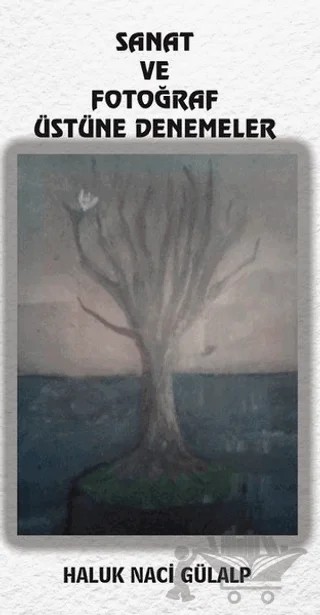 Sanat Ve Fotoğraf Üstüne Denemeler – Haluk Naci Gülalp – Platanus Publishing kitap kapağı
