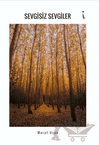 Sevgisiz Sevgiler – Murat Uzun – İkinci Adam Yayınları kitap kapağı