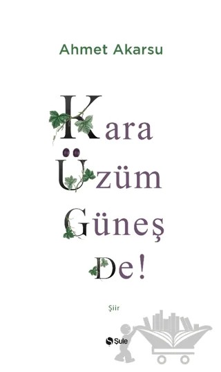 Kara Üzüm Güneş De – Ahmet Akarsu – Şule Yayınları kitap kapağı