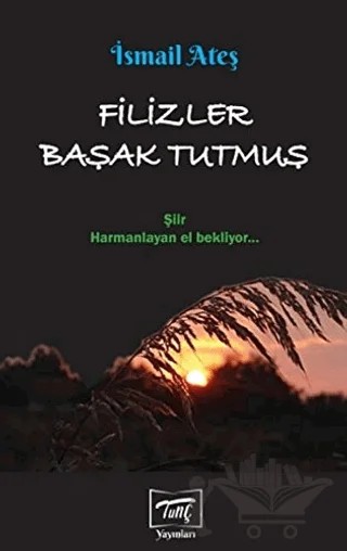 Filizler Başak Tutmuş – İsmail Ateş – Tunç Yayınları kitap kapağı