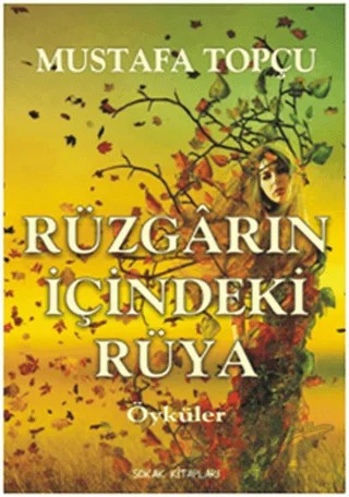 Rüzgarın İçindeki Rüya – Mustafa Topçu – Sokak Kitapları Yayınları kitap kapağı