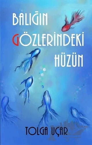 Balığın Gözlerindeki Hüzün – Tolga Uçar – Tunç Yayıncılık kitap kapağı