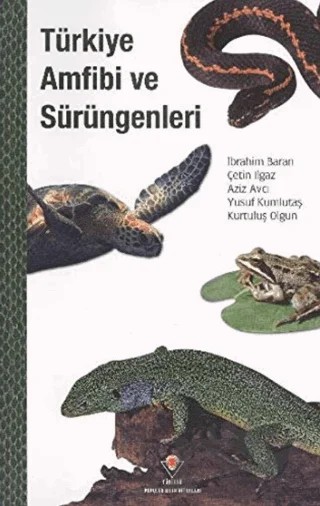 Türkiye Amfibi ve Sürüngenleri – Aziz Avcı, Çetin Ilgaz, İbrahim Baran, Kurtuluş Olgun, Yusuf Kumlutaş – TÜBİTAK Yayınları kitap kapağı