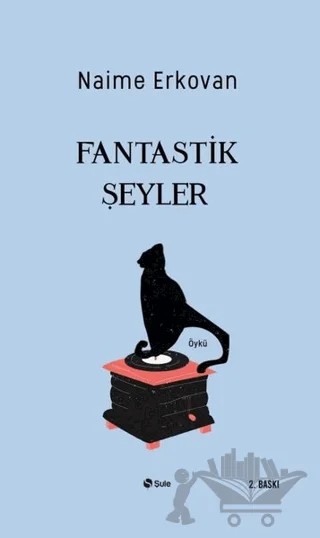 Fantastik Şeyler – Naime Erkovan – Şule Yayınları kitap kapağı