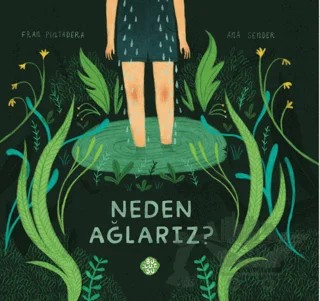 Neden Ağlarız? – Fran Pintadera – Bulutsu Yayınları kitap kapağı