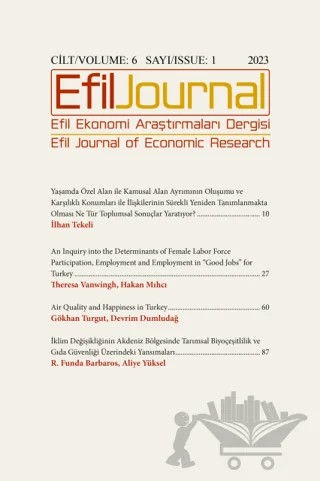 Efil Ekonomi Araştırmaları Dergisi; Cilt: 6 Sayı: 1 – Efil Journal Dergisi kitap kapağı