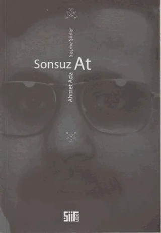 Sonsuz At – Ahmet Ada – Şiirden Yayıncılık kitap kapağı
