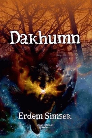 Dakhumn – Erdem Şimşek – Sokak Kitapları Yayınları kitap kapağı